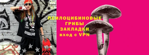дживик Аркадак