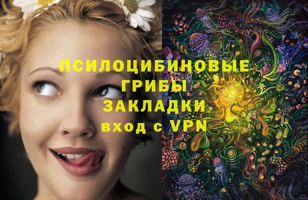 Альфа ПВП Арсеньев
