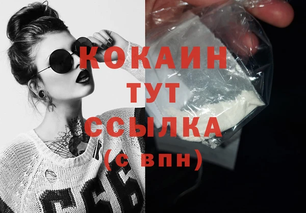 дживик Аркадак