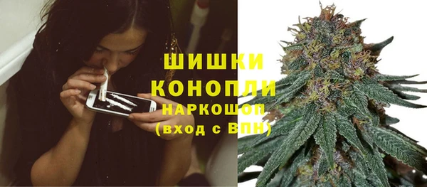 дживик Аркадак