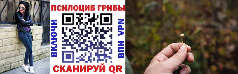Галлюциногенные грибы Cubensis  Урус-Мартан 